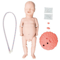 Fetal baby,w/umbilical cord & placenta