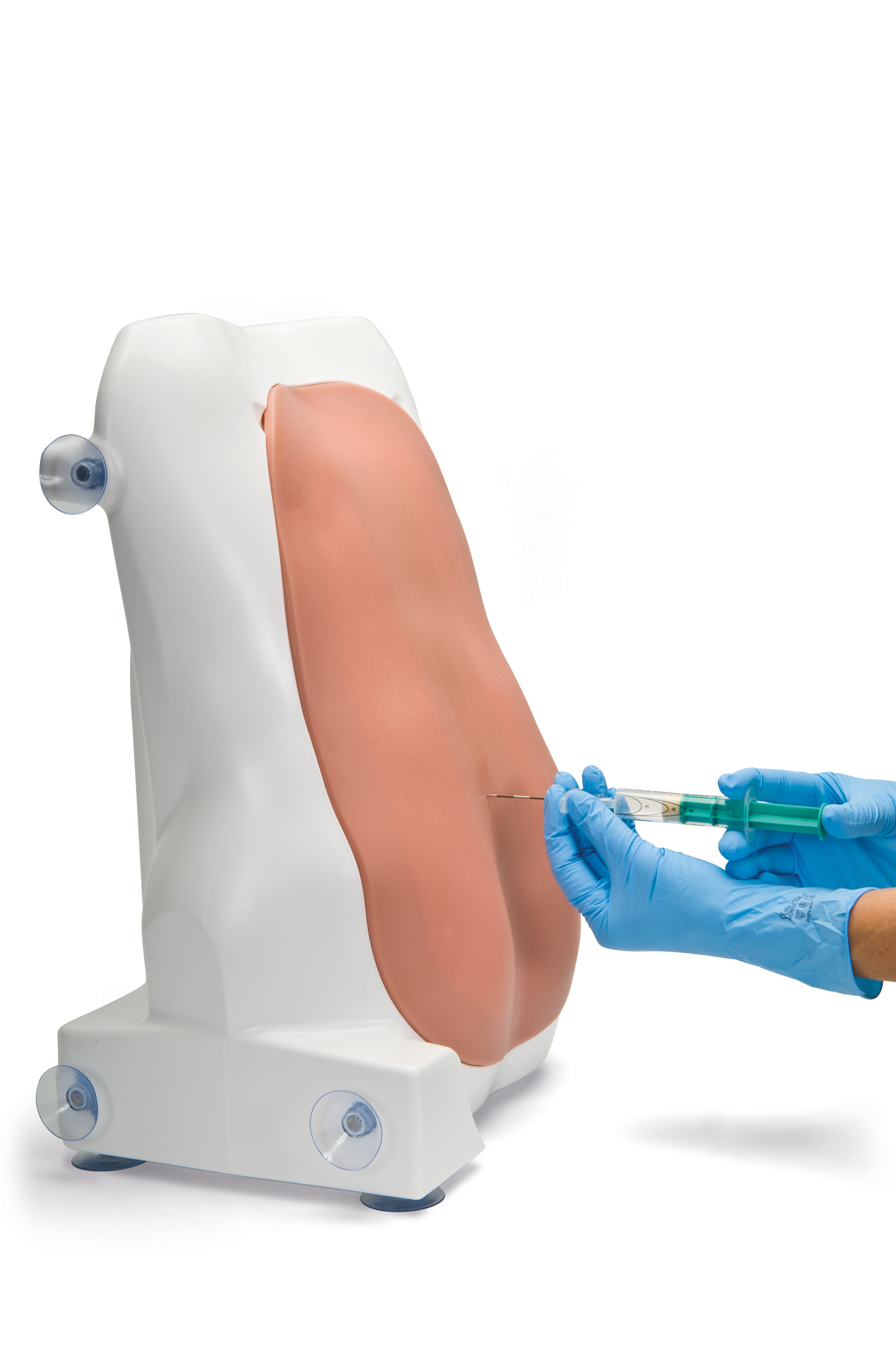 Adult,lumbar puncture trainer