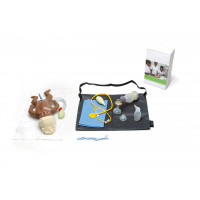 Simulator, newborn complete care, dark