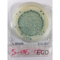 Bact.testg,E-Coli-ONLY,Compct Dry Plates