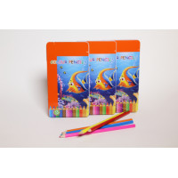 Colouring pencils,12 ass cols,in case