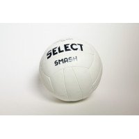 Volleyball,professional model
